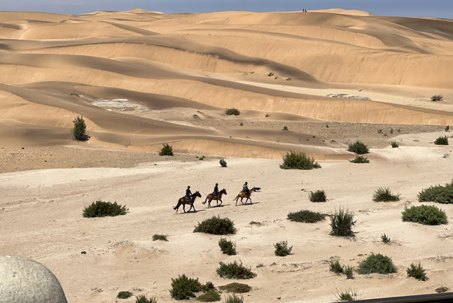 Horse riding on the beach