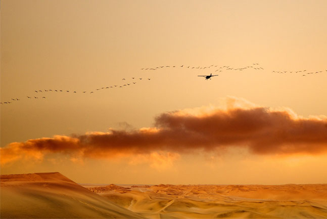 Scenic flight over the dunes