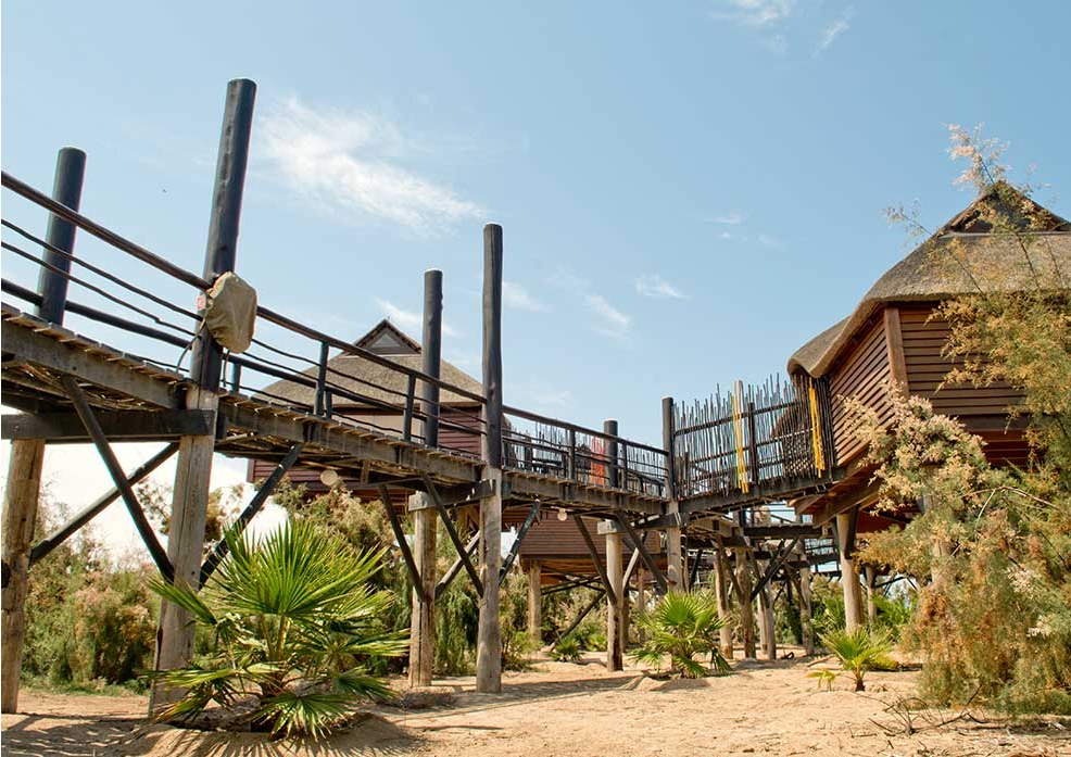 Raised bungalow walkway and timber stilt architecture