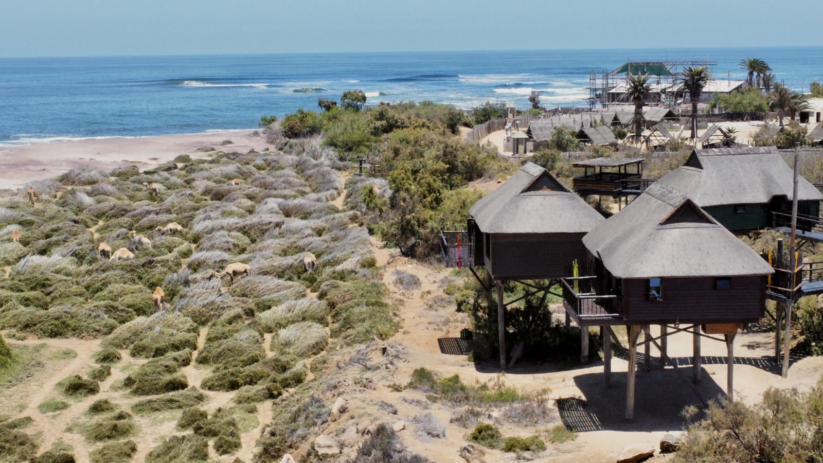 Aerial view of The Stiltz bungalows beside the Atlantic Ocean