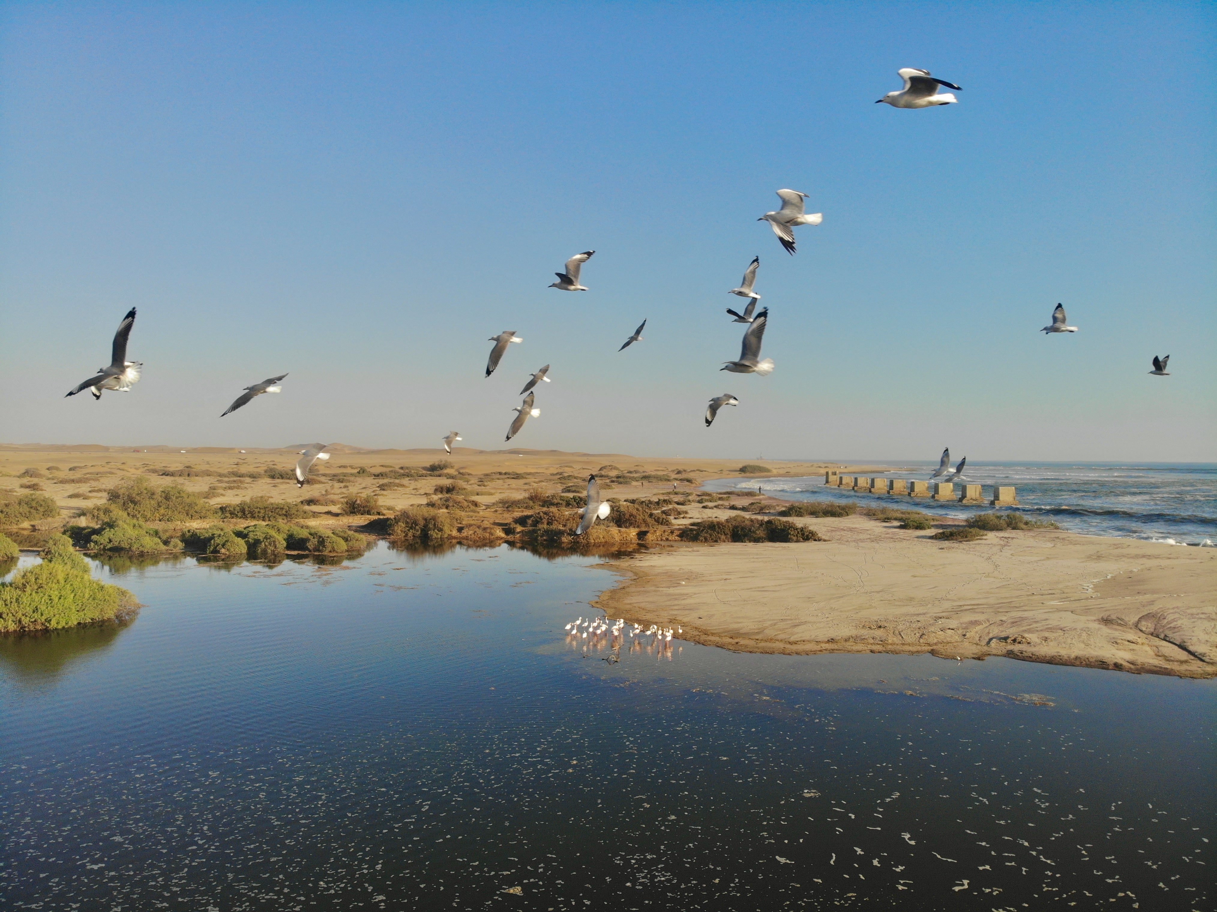 Aerial view of The Stiltz beside the Swakopmund Lagoon