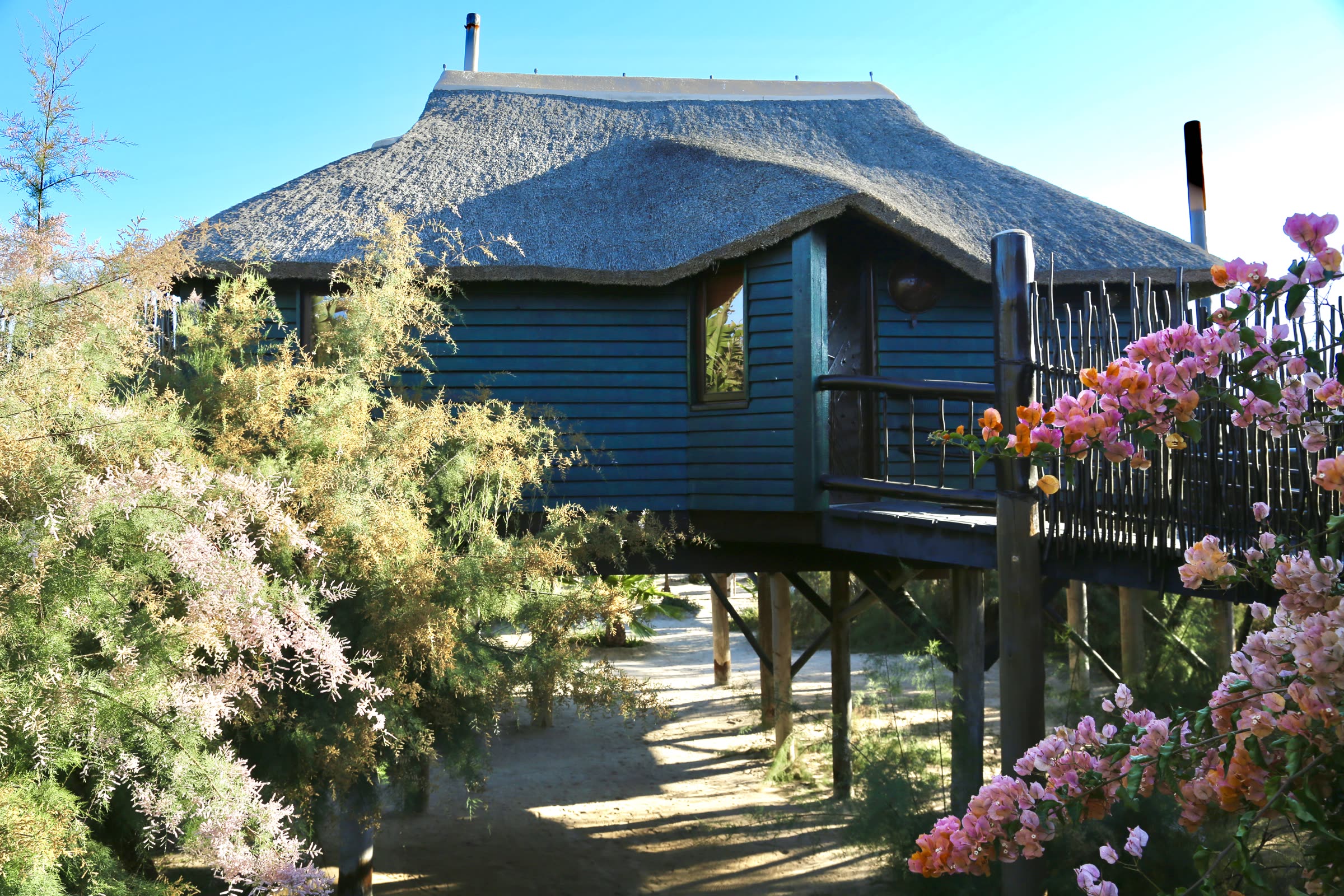 The Stiltz bungalow exterior with garden flowers
