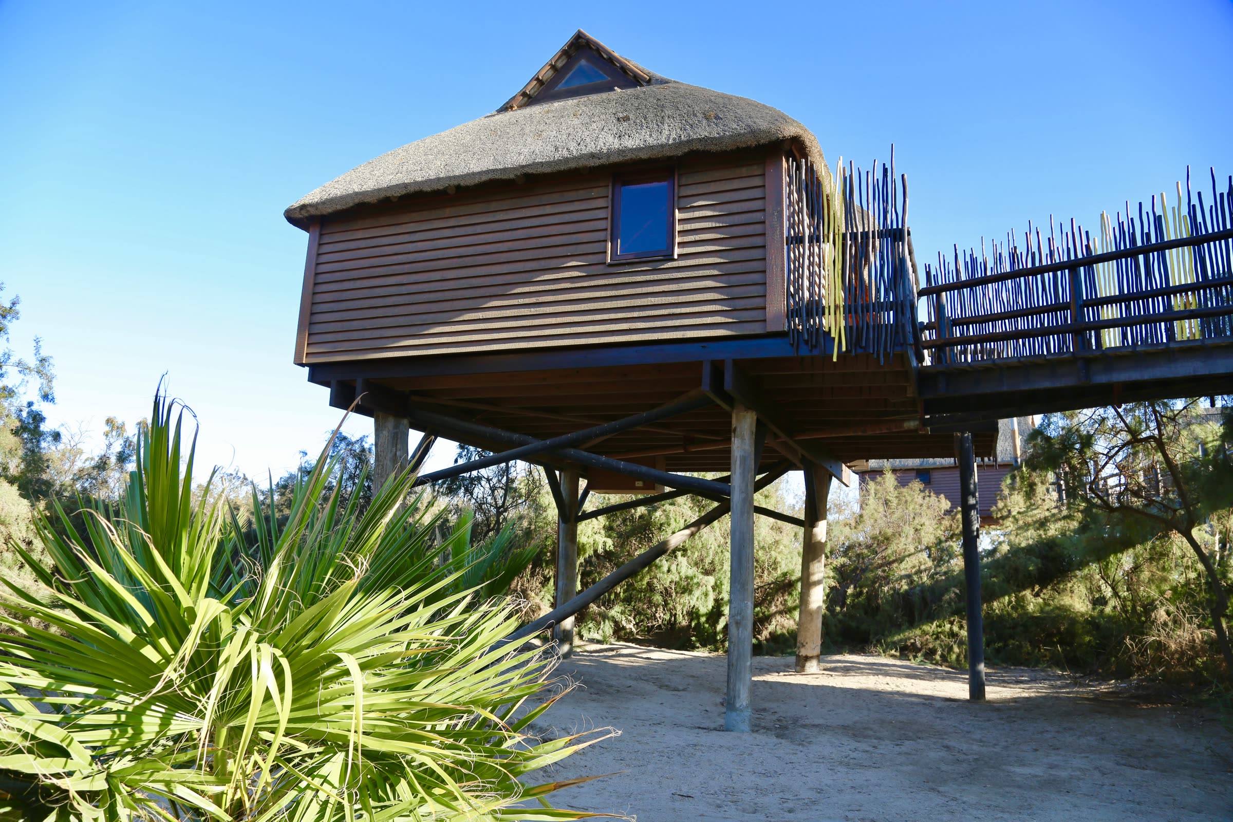 Raised bungalow exterior on timber stilts