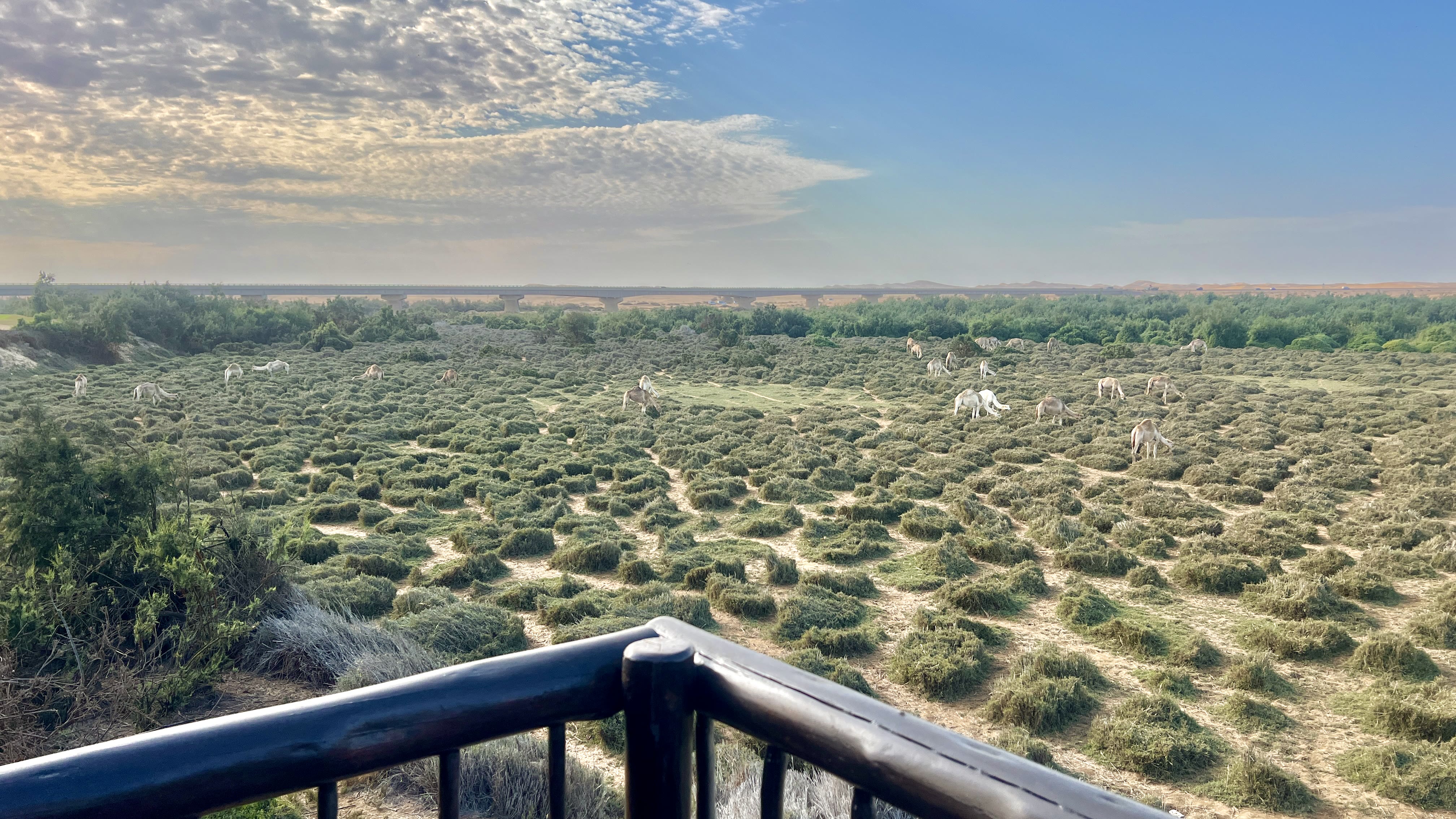 Lagoon view near The Stiltz in Swakopmund