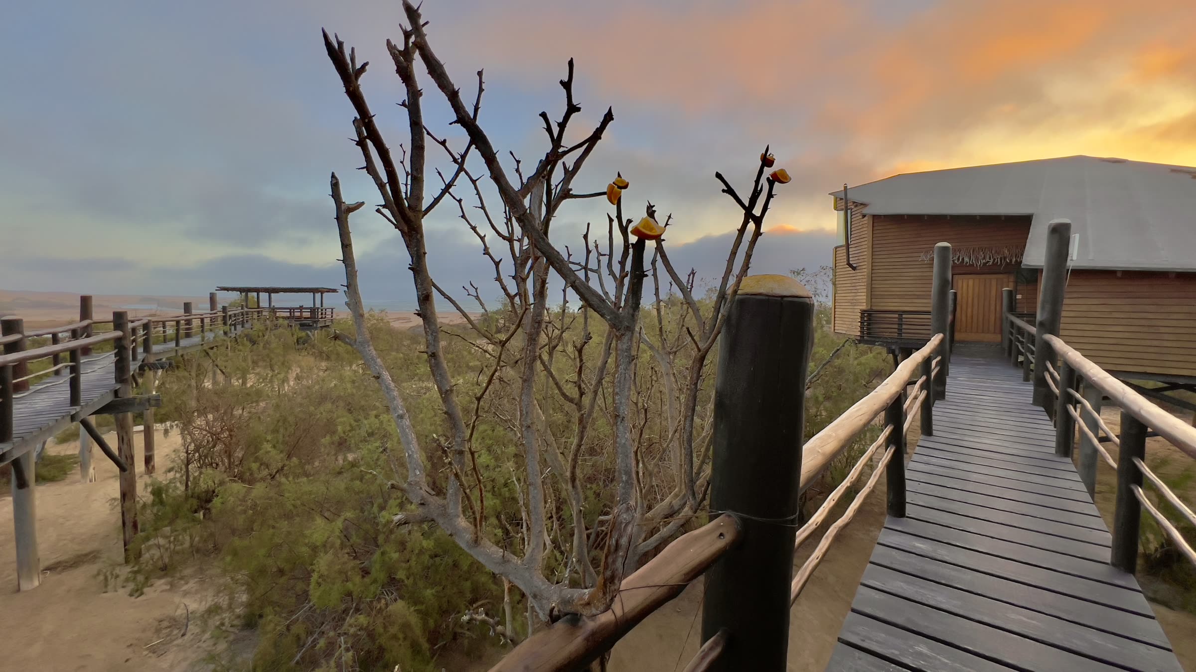 Raised walkway looking toward dunes at sunset